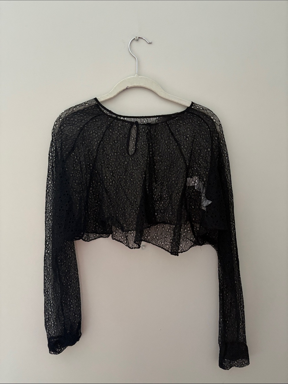 Zara Black Sheer Lace Cropped Long-Sleeve Top